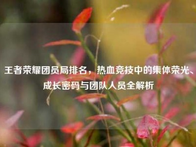 王者荣耀团员局排名，热血竞技中的集体荣光、成长密码与团队人员全解析