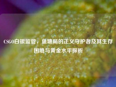 CSGO白银监管，鱼塘局的正义守护者及其生存困境与黄金水平探析