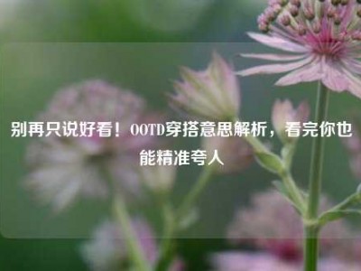 别再只说好看！OOTD穿搭意思解析，看完你也能精准夸人