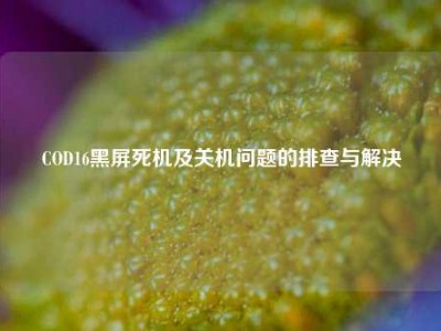 COD16黑屏死机及关机问题的排查与解决