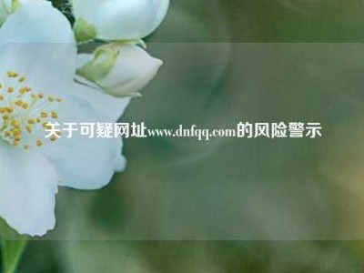 关于可疑网址www.dnfqq.com的风险警示