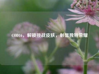 COD16，解锁挑战皮肤，彰显独特荣耀