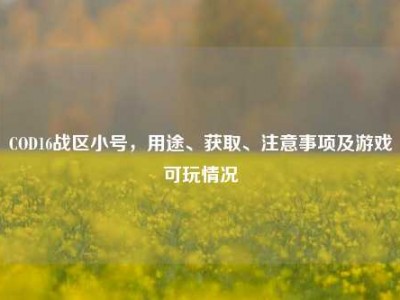 COD16战区小号，用途、获取、注意事项及游戏可玩情况