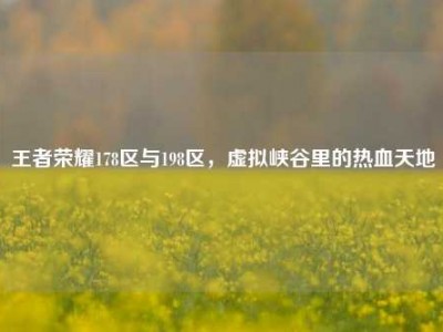 王者荣耀178区与198区，虚拟峡谷里的热血天地