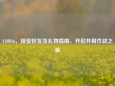 COD16，接受好友及礼物指南，开启并肩作战之旅