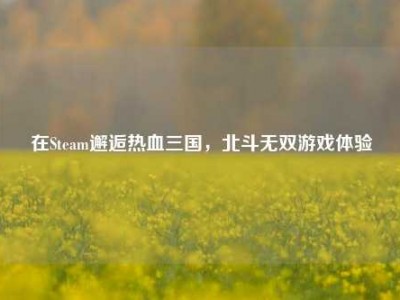 在Steam邂逅热血三国，北斗无双游戏体验