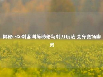 揭秘CSGO刺客训练秘籍与刺刀玩法 变身赛场幽灵