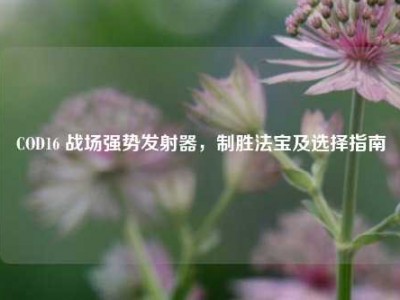 COD16 战场强势发射器，制胜法宝及选择指南