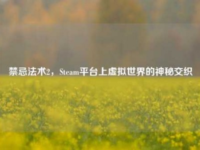 禁忌法术2，Steam平台上虚拟世界的神秘交织