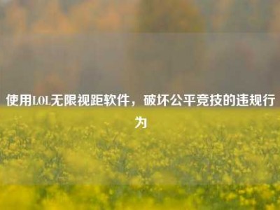 使用LOL无限视距软件，破坏公平竞技的违规行为