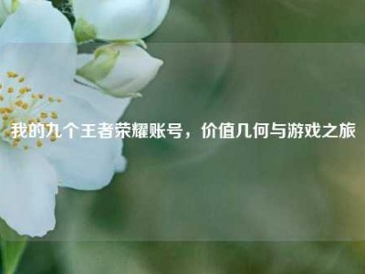我的九个王者荣耀账号，价值几何与游戏之旅