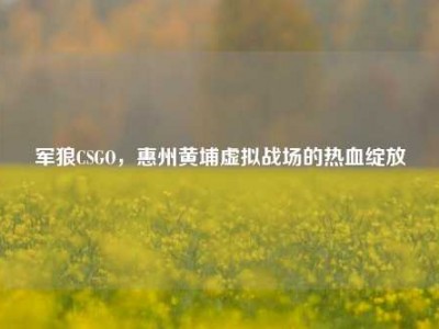 军狼CSGO，惠州黄埔虚拟战场的热血绽放