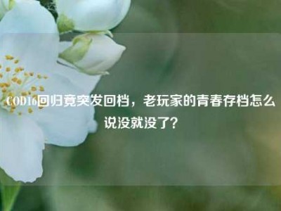 COD16回归竟突发回档，老玩家的青春存档怎么说没就没了？