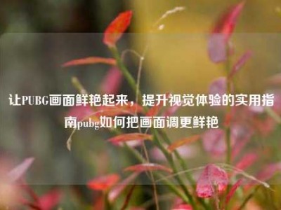 让PUBG画面鲜艳起来，提升视觉体验的实用指南pubg如何把画面调更鲜艳