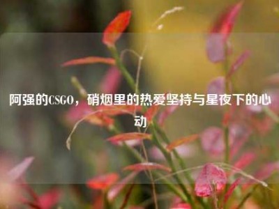 阿强的CSGO，硝烟里的热爱坚持与星夜下的心动
