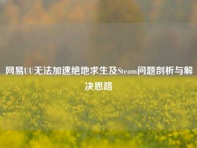 网易UU无法加速绝地求生及Steam问题剖析与解决思路