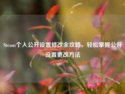 Steam个人公开设置修改全攻略，轻松掌握公开设置更改方法