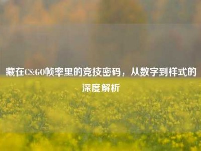 藏在CS:GO帧率里的竞技密码，从数字到样式的深度解析