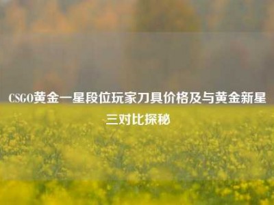 CSGO黄金一星段位玩家刀具价格及与黄金新星三对比探秘