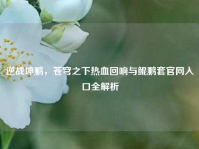 逆战坤鹏，苍穹之下热血回响与鲲鹏套官网入口全解析