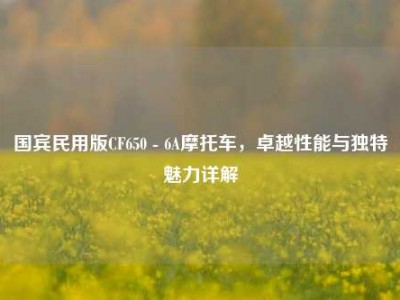 国宾民用版CF650 - 6A摩托车，卓越性能与独特魅力详解