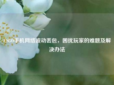 CSGO手机网络波动丢包，困扰玩家的难题及解决办法