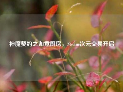 神魔契约之如意厨房，Steam次元交易开启