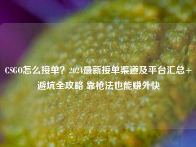 CSGO怎么接单？2024最新接单渠道及平台汇总+避坑全攻略 靠枪法也能赚外快