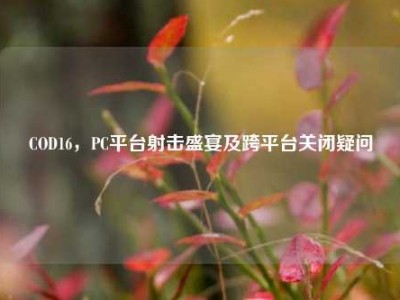 COD16，PC平台射击盛宴及跨平台关闭疑问