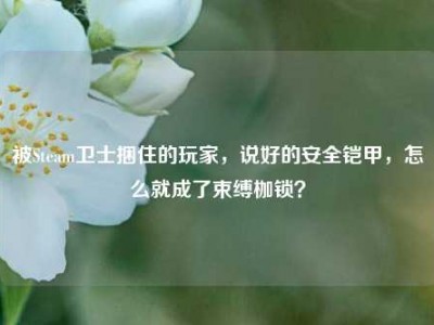被Steam卫士捆住的玩家，说好的安全铠甲，怎么就成了束缚枷锁？