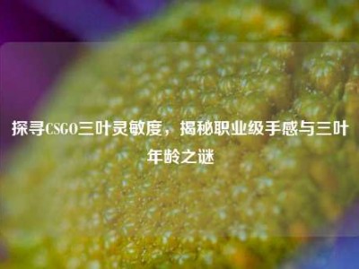 探寻CSGO三叶灵敏度，揭秘职业级手感与三叶年龄之谜