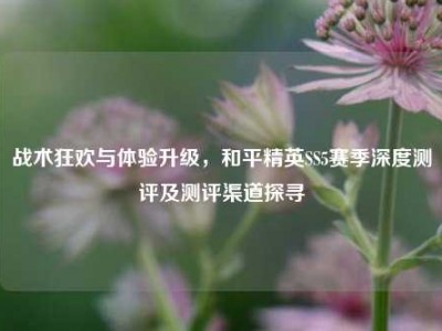 战术狂欢与体验升级，和平精英SS5赛季深度测评及测评渠道探寻