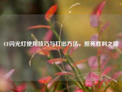 CF闪光灯使用技巧与打出方法，照亮胜利之路