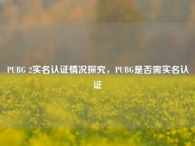 PUBG 2实名认证情况探究，PUBG是否需实名认证