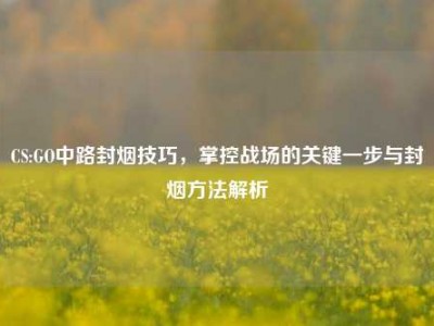 CS:GO中路封烟技巧，掌控战场的关键一步与封烟方法解析