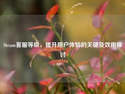 Steam客服等级，提升用户体验的关键及效用探讨
