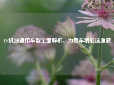 CF机油适用车型全面解析，为爱车精准选血液