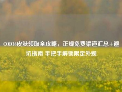 COD16皮肤领取全攻略，正规免费渠道汇总+避坑指南 手把手解锁限定外观