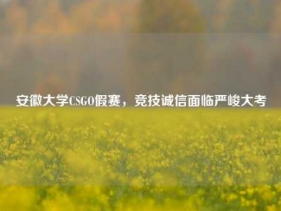 安徽大学CSGO假赛，竞技诚信面临严峻大考