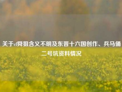 关于cf舜狙含义不明及东晋十六国创作、兵马俑二号坑资料情况