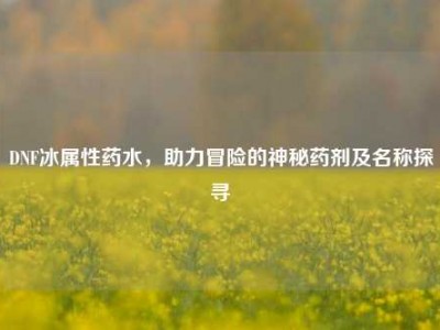DNF冰属性药水，助力冒险的神秘药剂及名称探寻