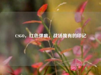CSGO，红色弹痕，战场独有的印记