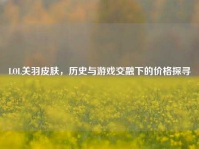 LOL关羽皮肤，历史与游戏交融下的价格探寻