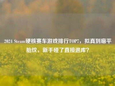2024 Steam硬核赛车游戏排行TOP7，拟真到磨平胎纹，新手碰了直接退库？