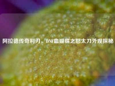 阿拉德传奇利刃，DNF血蝴蝶之怒太刀外观探秘