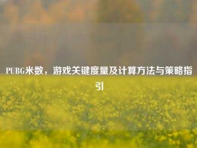 PUBG米数，游戏关键度量及计算方法与策略指引