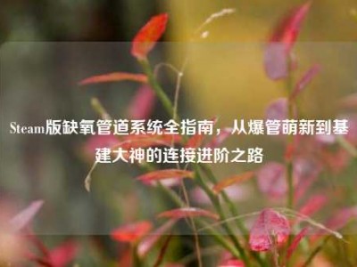 Steam版缺氧管道系统全指南，从爆管萌新到基建大神的连接进阶之路