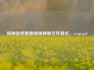 探秘游戏数据领域神秘文件格式，script.pvf