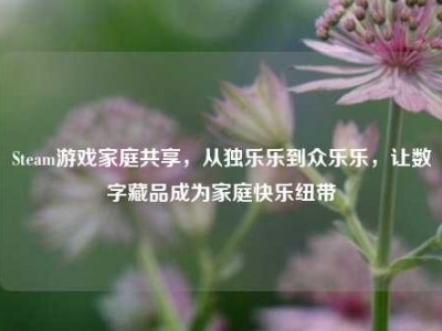 Steam游戏家庭共享，从独乐乐到众乐乐，让数字藏品成为家庭快乐纽带