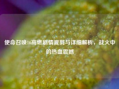 使命召唤16高燃剧情混剪与详细解析，战火中的热血震撼
